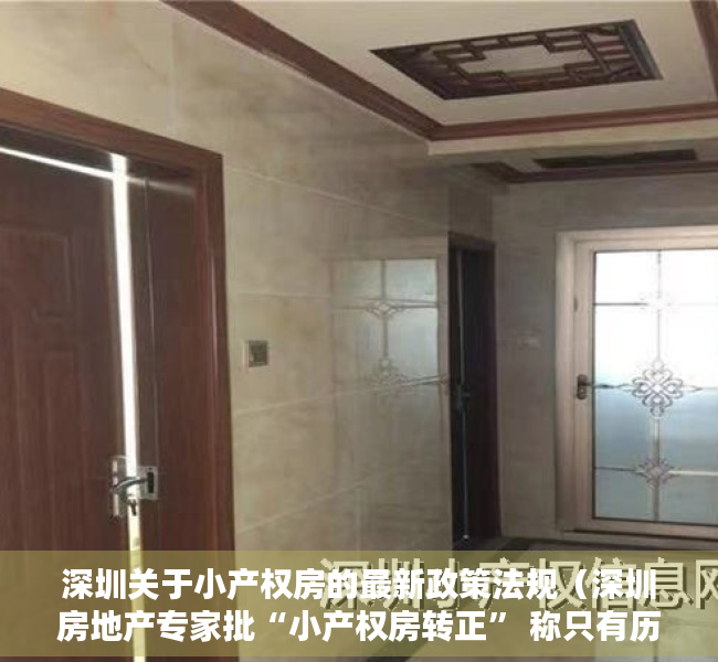 深圳关于小产权房的最新政策法规（深圳房地产专家批“小产权房转正” 称只有历史违建）