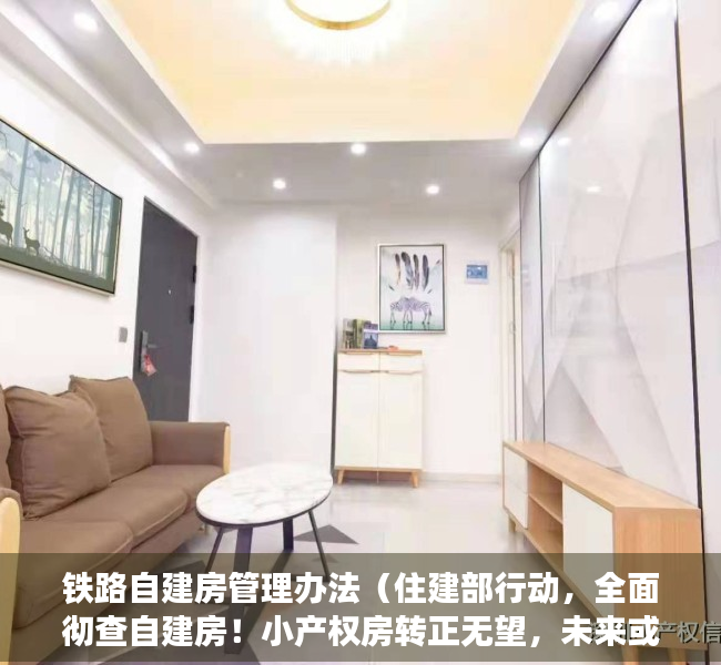 铁路自建房管理办法（住建部行动，全面彻查自建房！小产权房转正无望，未来或将消失？）