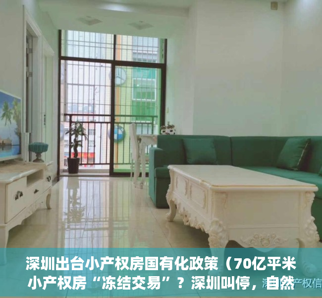 深圳出台小产权房国有化政策（70亿平米小产权房“冻结交易”？深圳叫停，自然资源部盖棺定论）