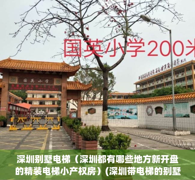 深圳别墅电梯（深圳都有哪些地方新开盘的精装电梯小产权房）(深圳带电梯的别墅)