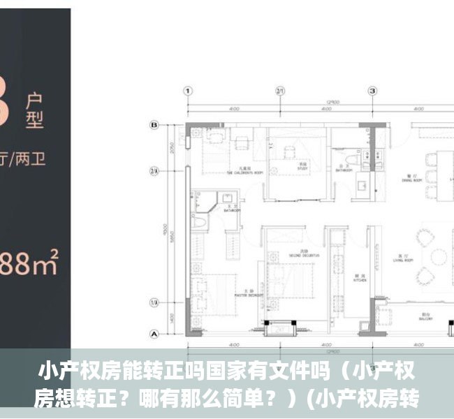 小产权房能转正吗国家有文件吗（小产权房想转正？哪有那么简单？）(小产权房转正最新政策官方公布)