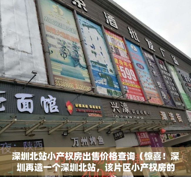 深圳北站小产权房出售价格查询（惊喜！深圳再造一个深圳北站，该片区小产权房的升值潜力一目了然）