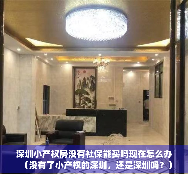 深圳小产权房没有社保能买吗现在怎么办（没有了小产权的深圳，还是深圳吗？）