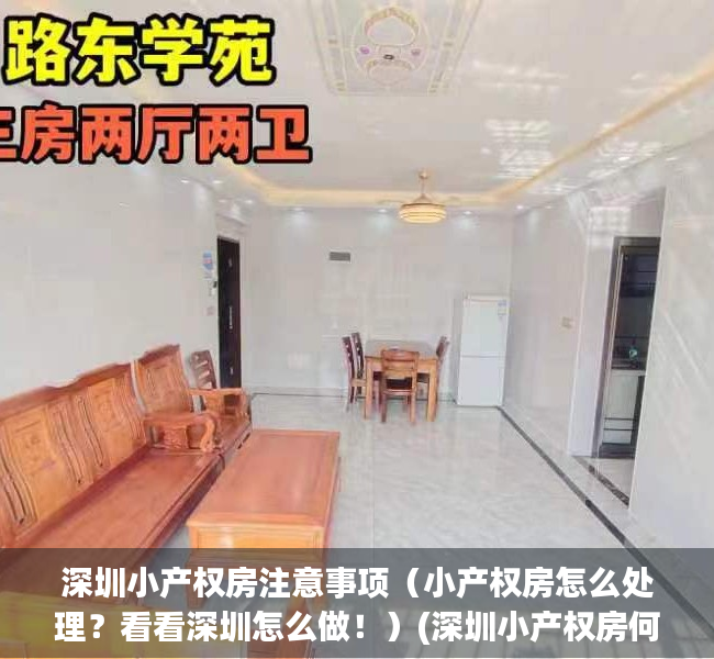 深圳小产权房注意事项（小产权房怎么处理？看看深圳怎么做！）(深圳小产权房何去何从)