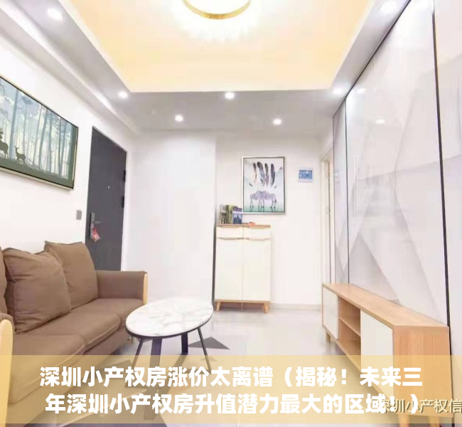 深圳小产权房涨价太离谱（揭秘！未来三年深圳小产权房升值潜力最大的区域！）