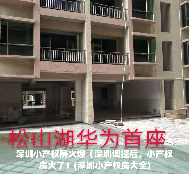 深圳小产权房火爆（深圳调控后，小产权房火了）(深圳小产权房大全)