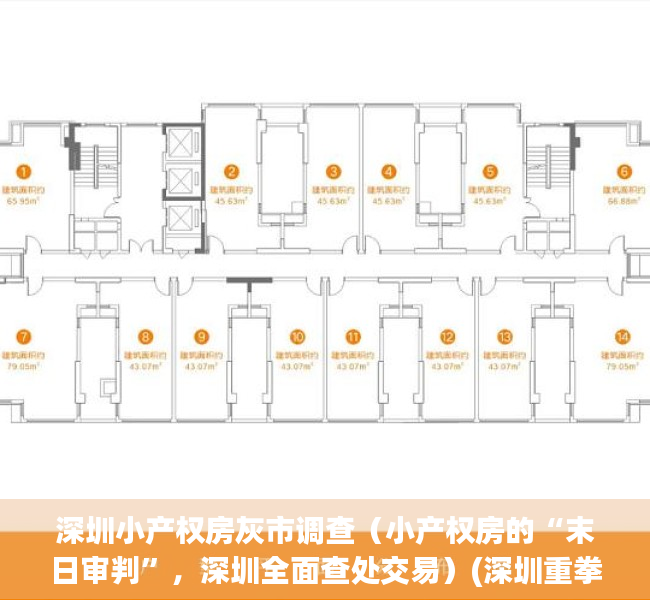 深圳小产权房灰市调查（小产权房的“末日审判”，深圳全面查处交易）(深圳重拳整治小产权房)