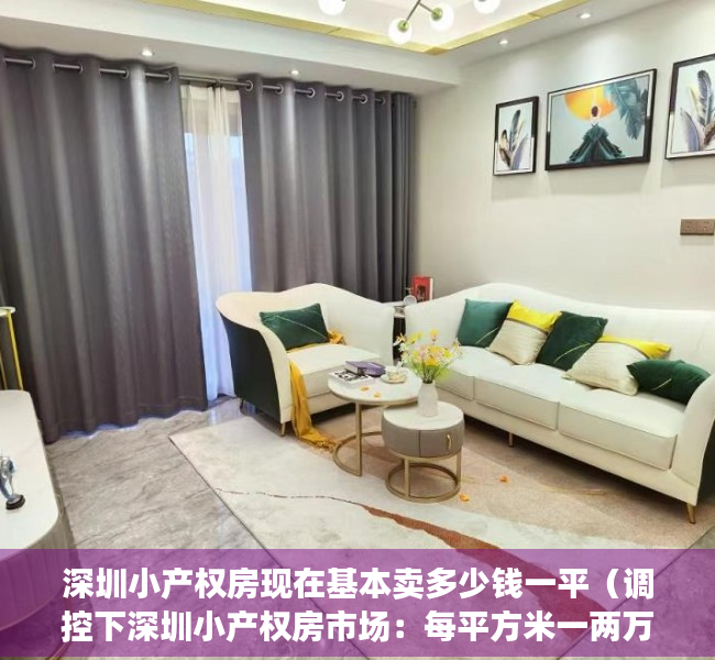 深圳小产权房现在基本卖多少钱一平（调控下深圳小产权房市场：每平方米一两万元 不按面积“按套卖”）