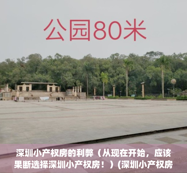 深圳小产权房的利弊（从现在开始，应该果断选择深圳小产权房！）(深圳小产权房合法吗?)