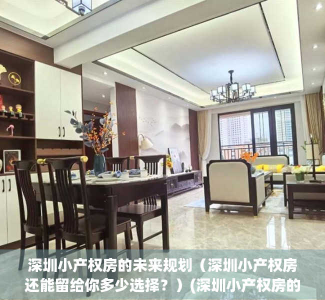 深圳小产权房的未来规划（深圳小产权房还能留给你多少选择？）(深圳小产权房的未来趋势)