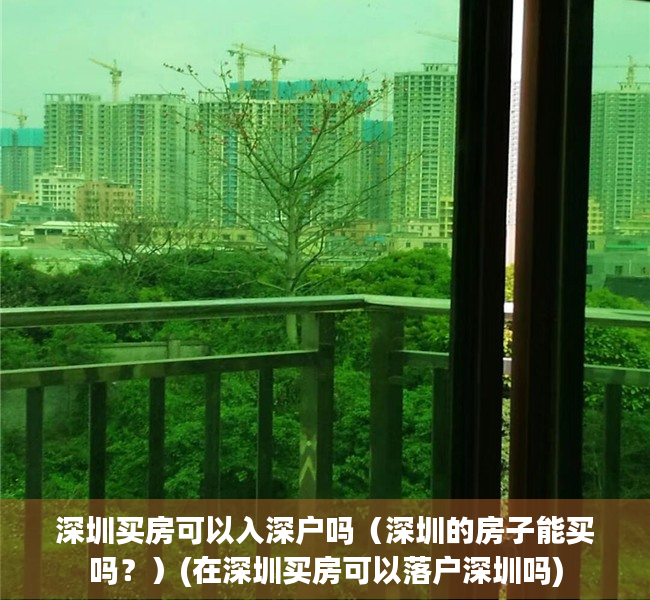 深圳买房可以入深户吗（深圳的房子能买吗？）(在深圳买房可以落户深圳吗)