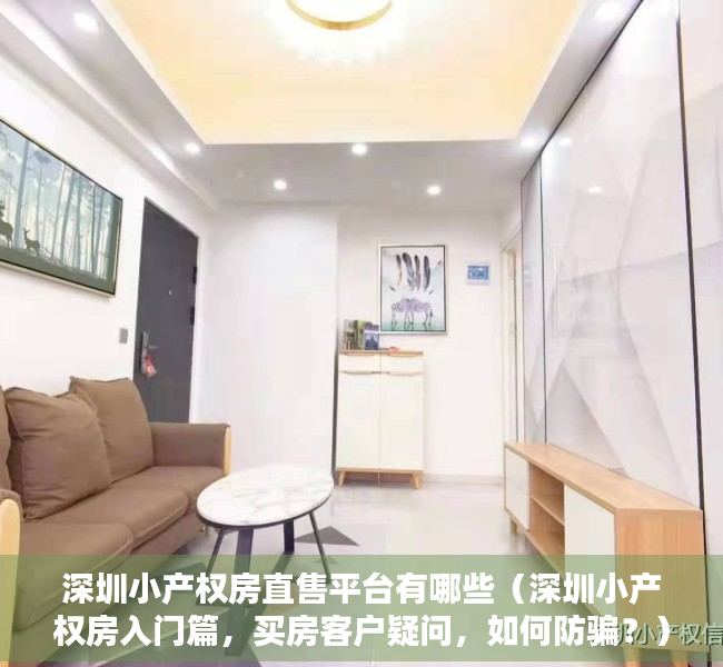 深圳小产权房直售平台有哪些（深圳小产权房入门篇，买房客户疑问，如何防骗？）