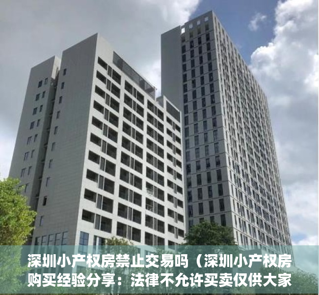深圳小产权房禁止交易吗（深圳小产权房购买经验分享：法律不允许买卖仅供大家了解其中风险）