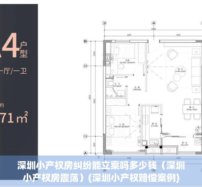 深圳小产权房纠纷能立案吗多少钱（深圳小产权房震荡）(深圳小产权赔偿案例)