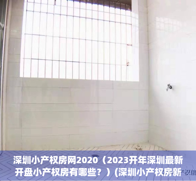 深圳小产权房网2020（2023开年深圳最新开盘小产权房有哪些？）(深圳小产权房新楼盘)