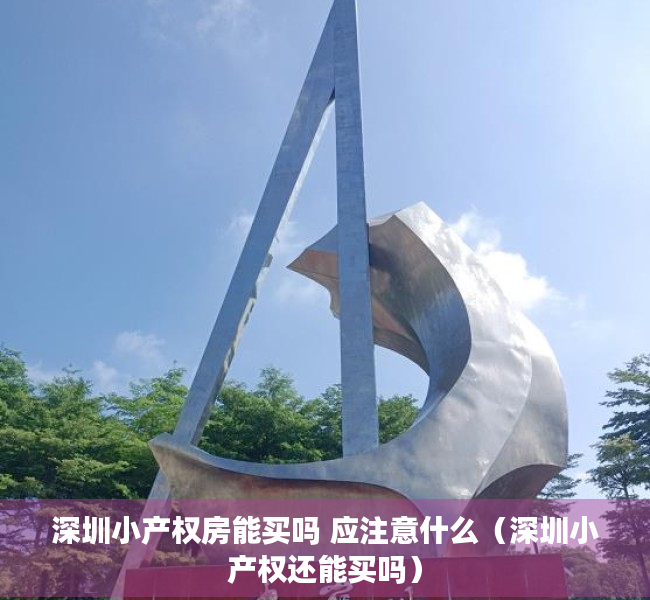 深圳小产权房能买吗 应注意什么（深圳小产权还能买吗）