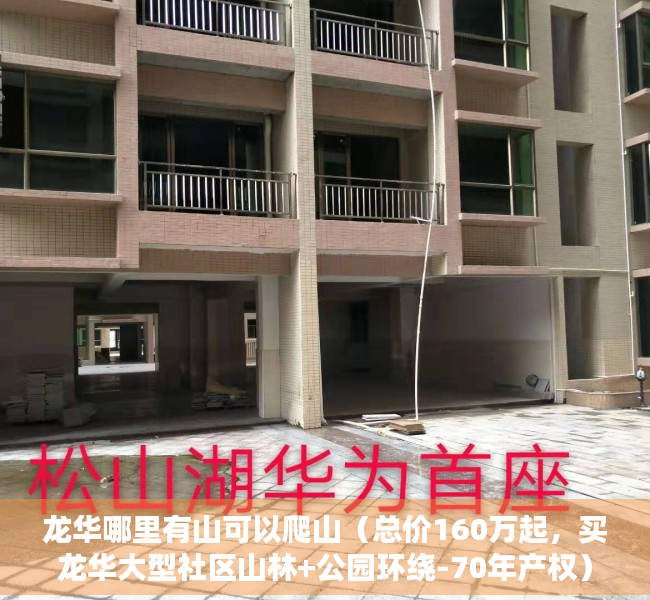 龙华哪里有山可以爬山（总价160万起，买龙华大型社区山林+公园环绕-70年产权）