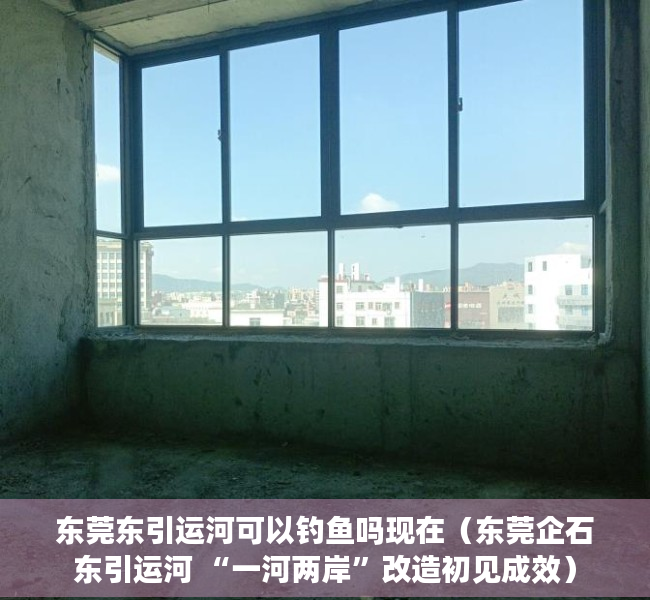 东莞东引运河可以钓鱼吗现在（东莞企石东引运河 “一河两岸”改造初见成效）