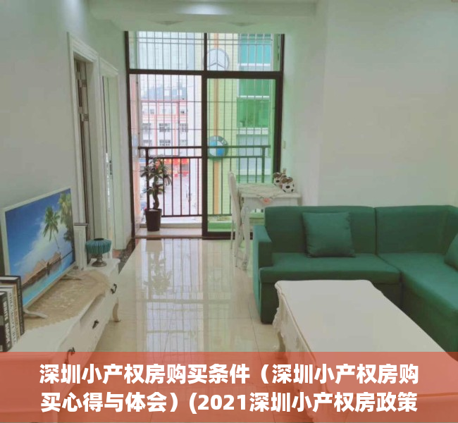 深圳小产权房购买条件（深圳小产权房购买心得与体会）(2021深圳小产权房政策)