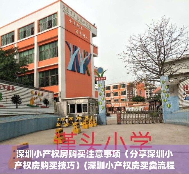 深圳小产权房购买注意事项（分享深圳小产权房购买技巧）(深圳小产权房买卖流程2019)