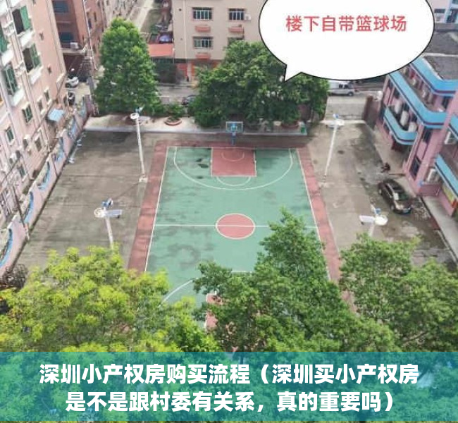 深圳小产权房购买流程（深圳买小产权房是不是跟村委有关系，真的重要吗）