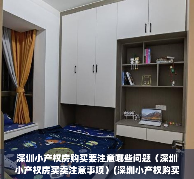 深圳小产权房购买要注意哪些问题（深圳小产权房买卖注意事项）(深圳小产权购买条件)