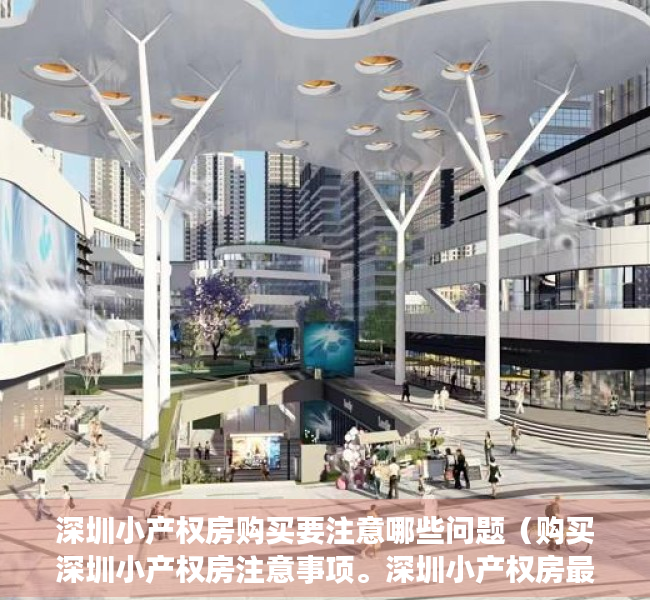 深圳小产权房购买要注意哪些问题（购买深圳小产权房注意事项。深圳小产权房最新政策2021）