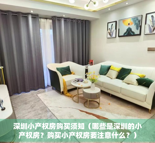 深圳小产权房购买须知（哪些是深圳的小产权房？购买小产权房要注意什么？）