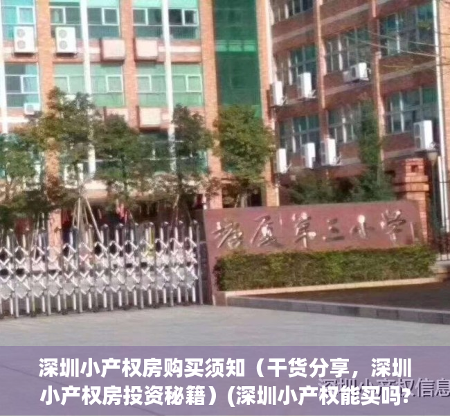 深圳小产权房购买须知（干货分享，深圳小产权房投资秘籍）(深圳小产权能买吗?有保障吗)