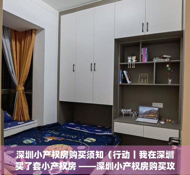 深圳小产权房购买须知（行动丨我在深圳买了套小产权房 ——深圳小产权房购买攻略）