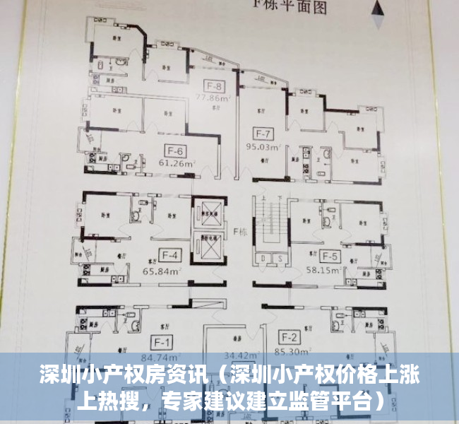 深圳小产权房资讯（深圳小产权价格上涨上热搜，专家建议建立监管平台）