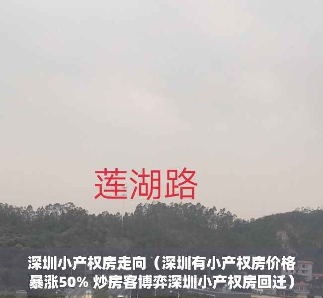 深圳小产权房走向（深圳有小产权房价格暴涨50% 炒房客博弈深圳小产权房回迁）