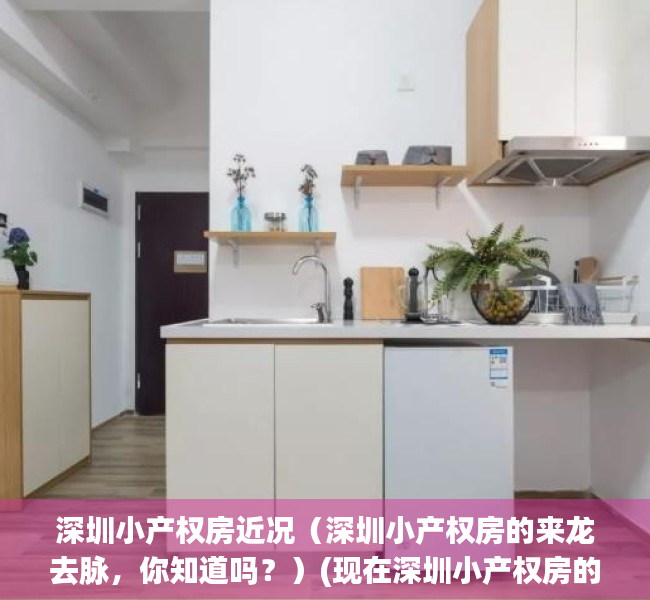深圳小产权房近况（深圳小产权房的来龙去脉，你知道吗？）(现在深圳小产权房的价格是多少)