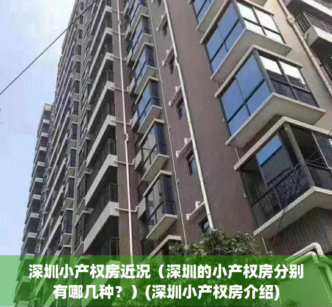 深圳小产权房近况（深圳的小产权房分别有哪几种？）(深圳小产权房介绍)
