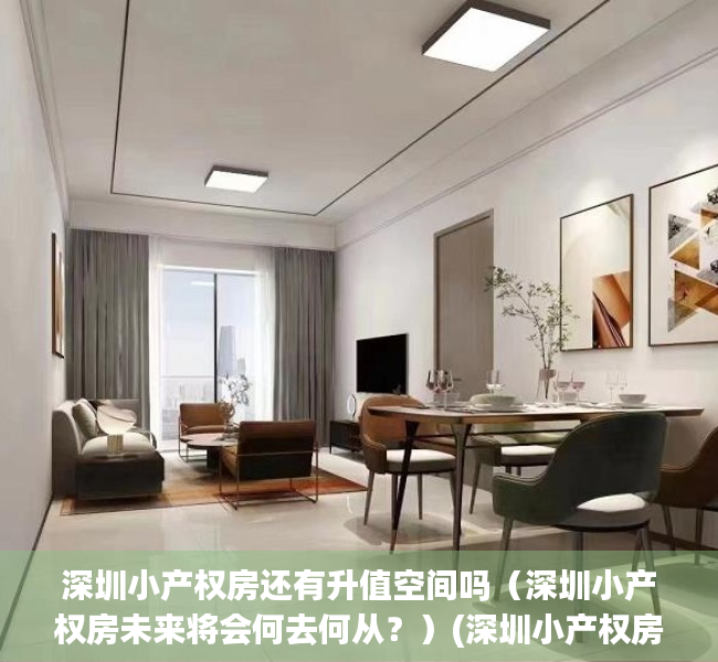 深圳小产权房还有升值空间吗（深圳小产权房未来将会何去何从？）(深圳小产权房未来如何处置)
