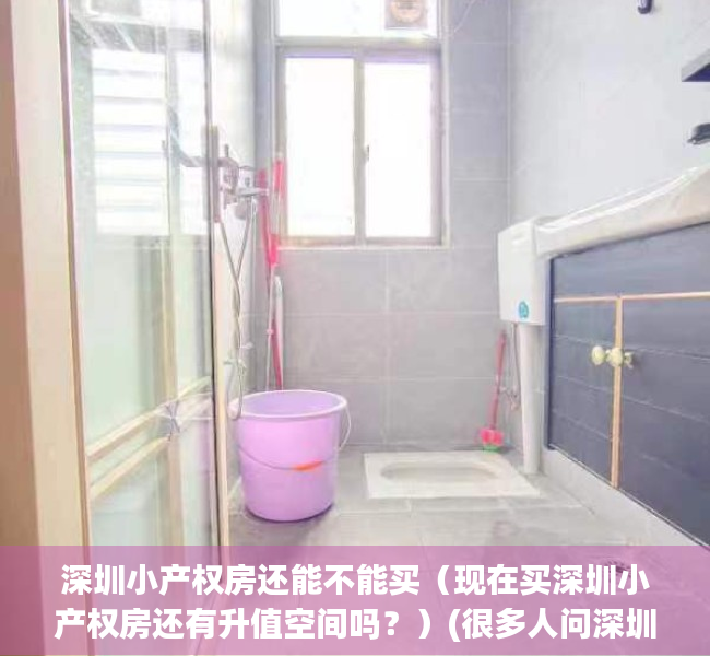 深圳小产权房还能不能买（现在买深圳小产权房还有升值空间吗？）(很多人问深圳小产权房现在还可以买吗)