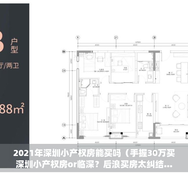 2021年深圳小产权房能买吗（手握30万买深圳小产权房or临深？后浪买房太纠结……）