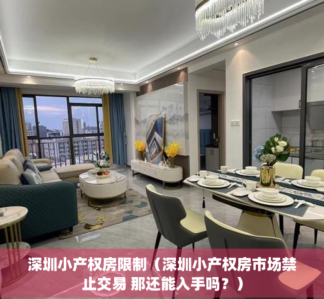 深圳小产权房限制（深圳小产权房市场禁止交易 那还能入手吗？）