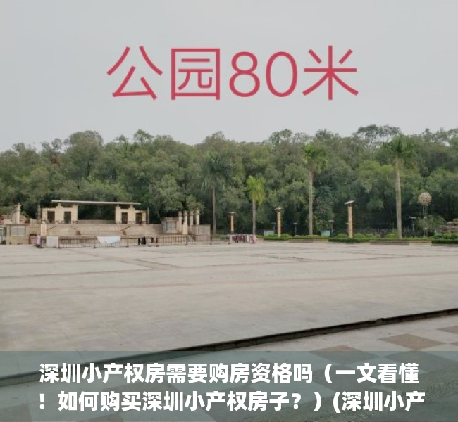 深圳小产权房需要购房资格吗（一文看懂！如何购买深圳小产权房子？）(深圳小产权房购买流程)
