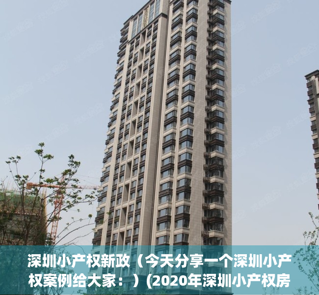 深圳小产权新政（今天分享一个深圳小产权案例给大家：）(2020年深圳小产权房的最新政策)