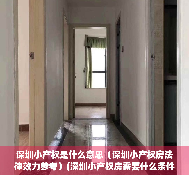 深圳小产权是什么意思（深圳小产权房法律效力参考）(深圳小产权房需要什么条件)