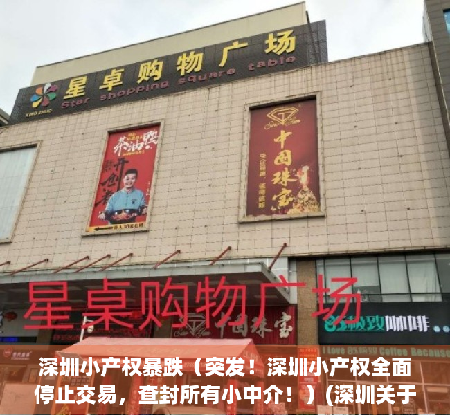 深圳小产权暴跌（突发！深圳小产权全面停止交易，查封所有小中介！）(深圳关于小产权房问题的通知)