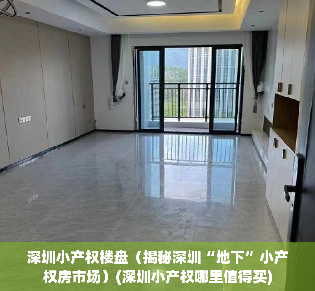深圳小产权楼盘（揭秘深圳“地下”小产权房市场）(深圳小产权哪里值得买)
