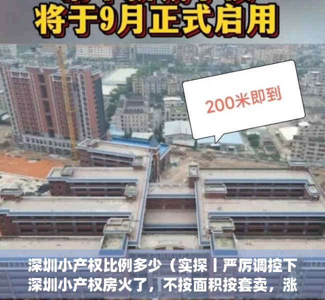 深圳小产权比例多少（实探丨严厉调控下深圳小产权房火了，不按面积按套卖，涨幅大风险也大）