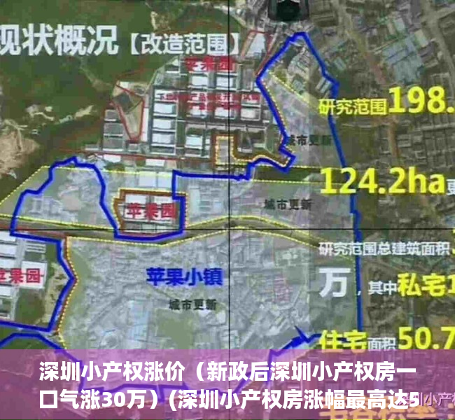 深圳小产权涨价（新政后深圳小产权房一口气涨30万）(深圳小产权房涨幅最高达50%)