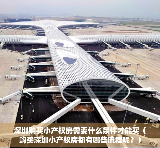 深圳购买小产权房需要什么条件才能买（购买深圳小产权房都有哪些流程呢？）