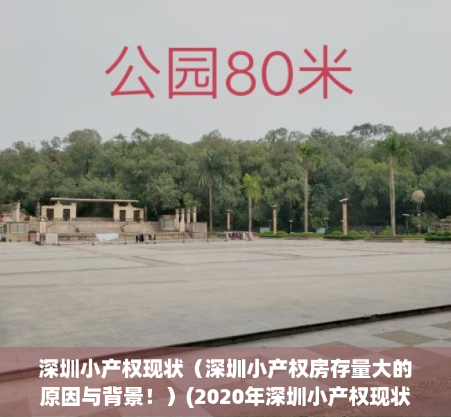 深圳小产权现状（深圳小产权房存量大的原因与背景！）(2020年深圳小产权现状)