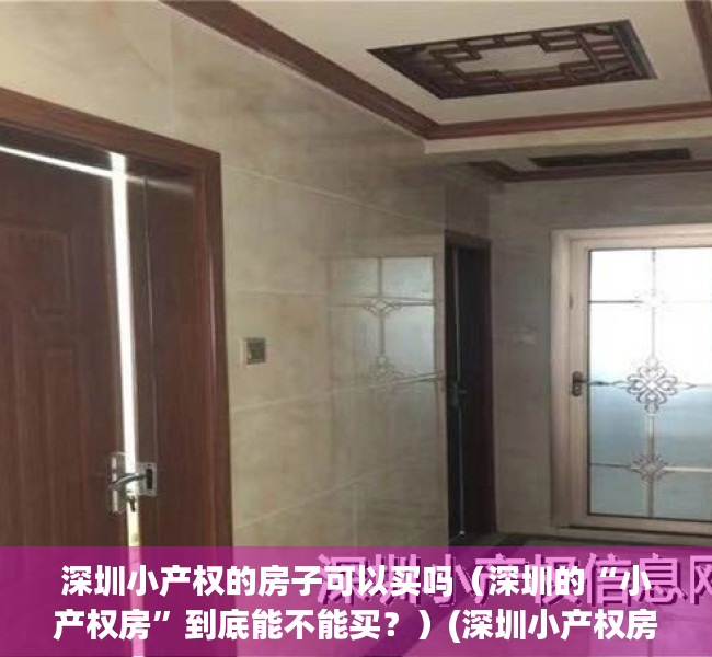 深圳小产权的房子可以买吗（深圳的“小产权房”到底能不能买？）(深圳小产权房可以买吗?有什么技巧)
