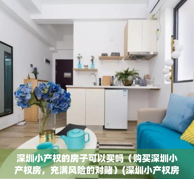深圳小产权的房子可以买吗（购买深圳小产权房，充满风险的对赌）(深圳小产权房子能买吗受法律保护吗)