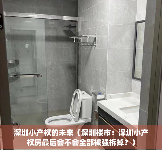 深圳小产权的未来（深圳楼市：深圳小产权房最后会不会全部被强拆掉？）